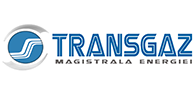 Logo 3